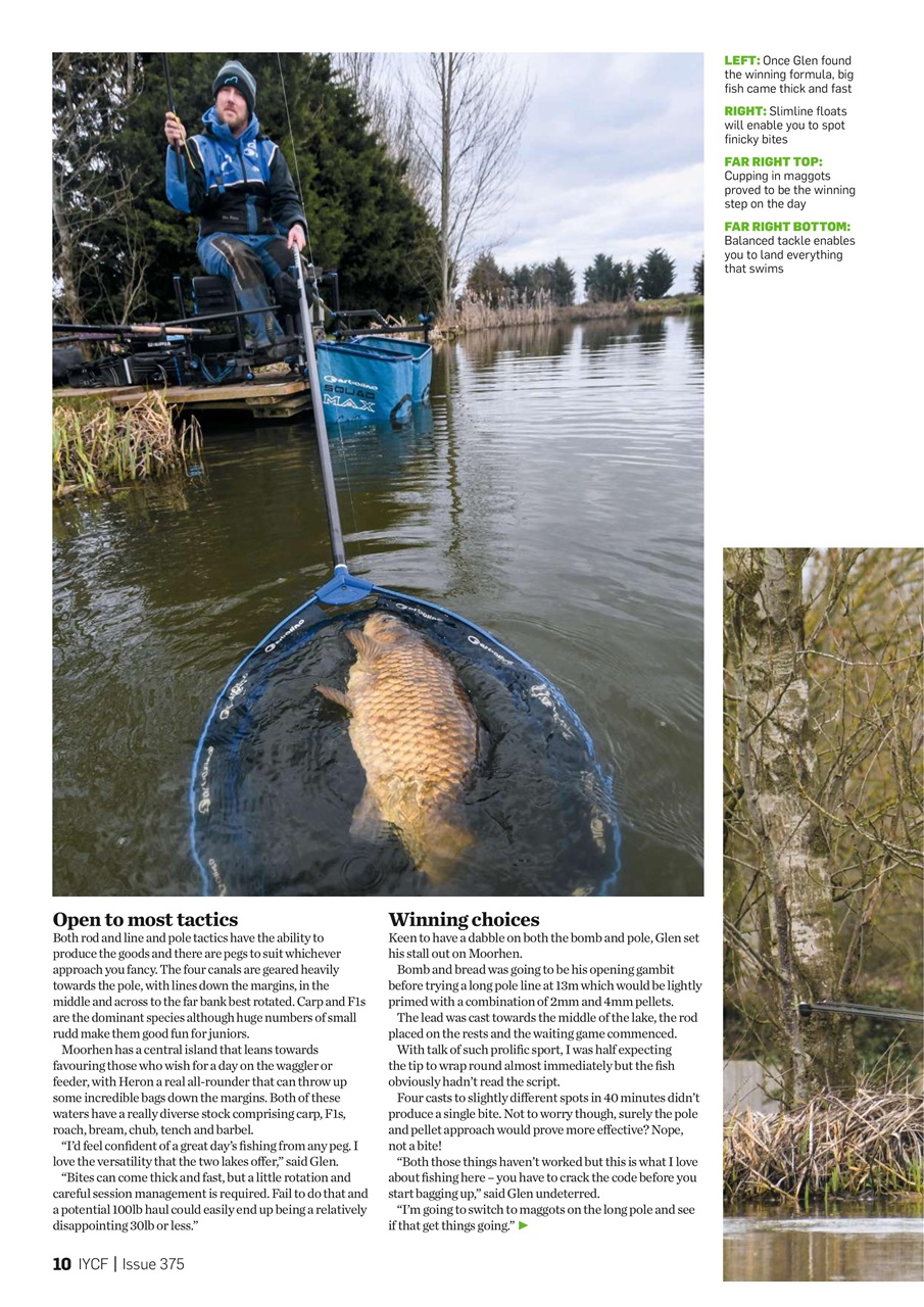 Improve Your Coarse Fishing Preview Pages