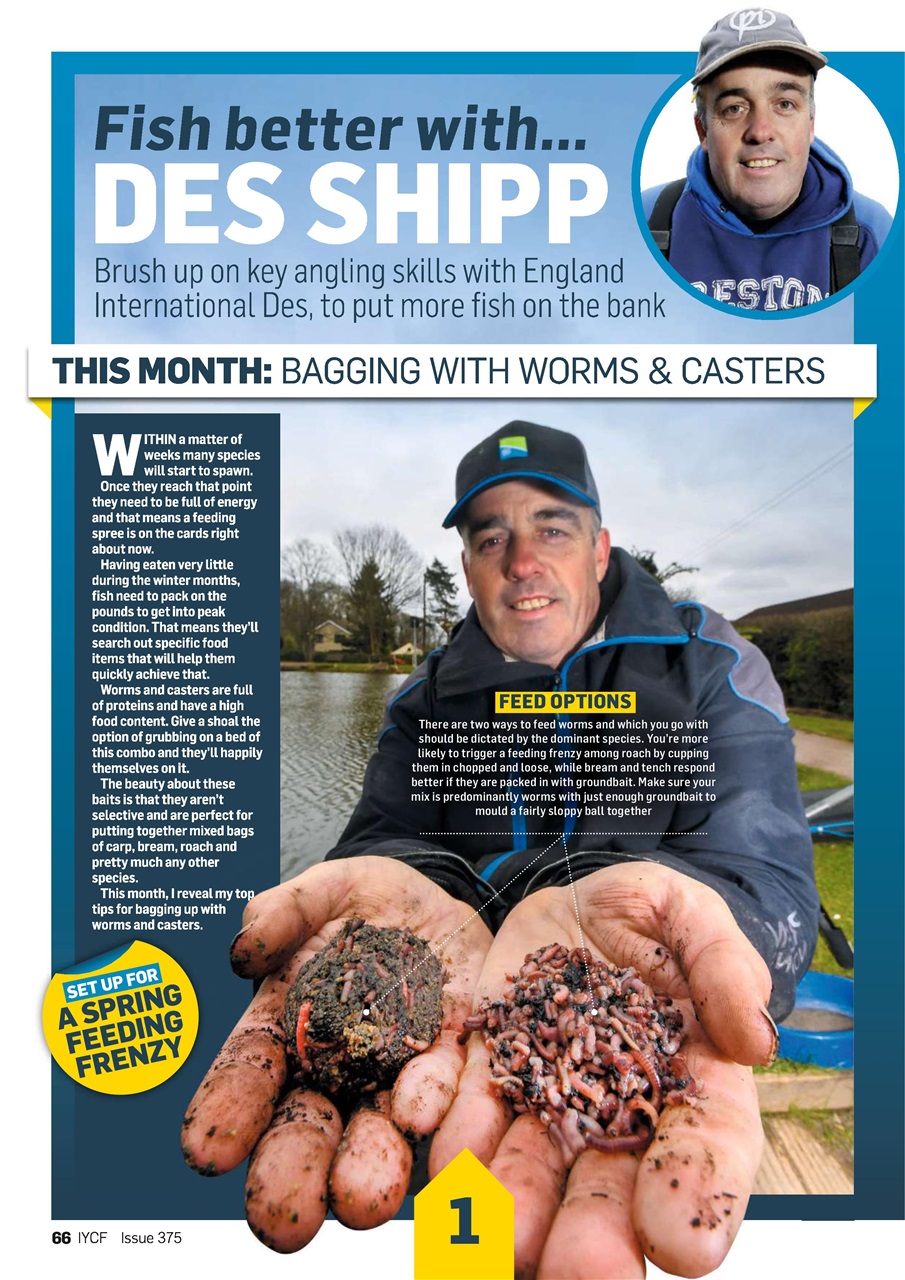 Improve Your Coarse Fishing Preview Pages