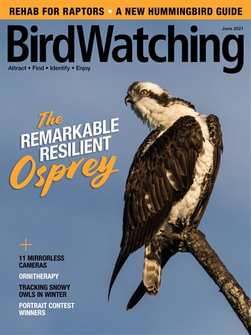 May/ Jun 2021 issue May/ Jun 2021