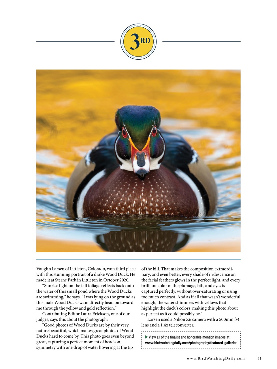 BirdWatching Preview Pages