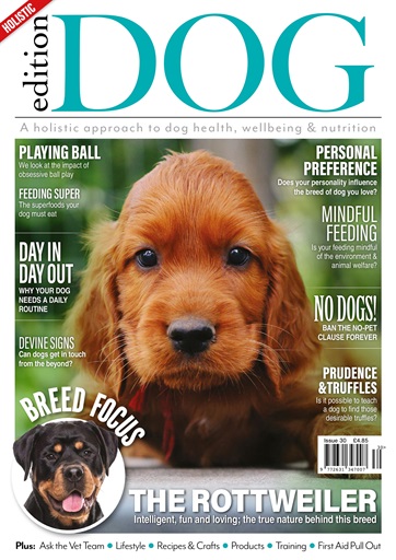 Edition Dog issue 
