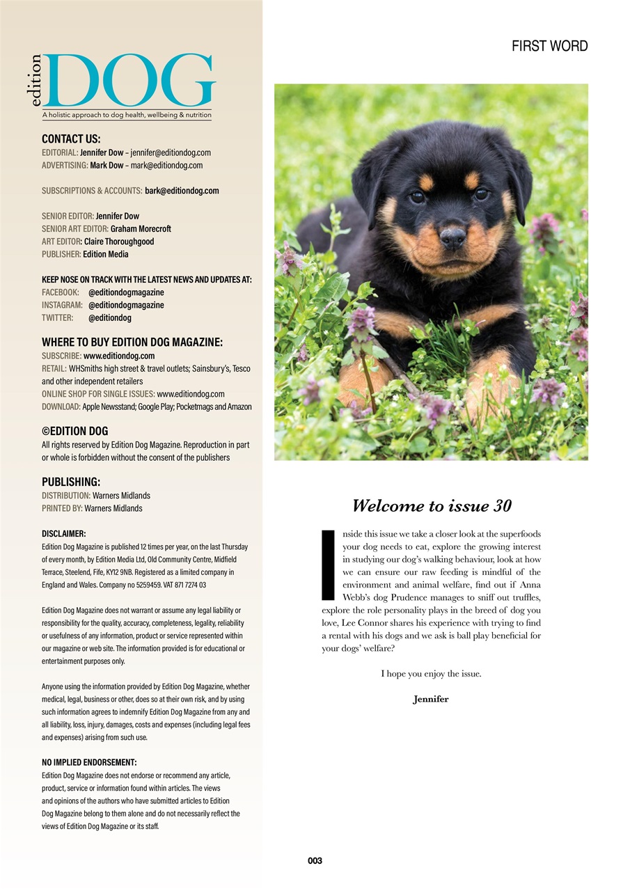 Edition Dog Preview Pages