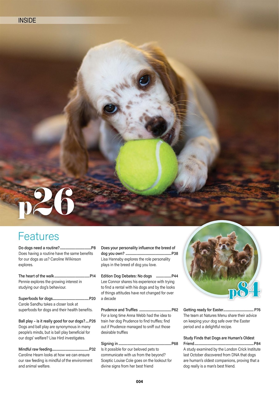 Edition Dog Preview Pages