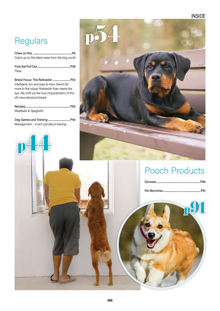 Edition Dog Preview Pages