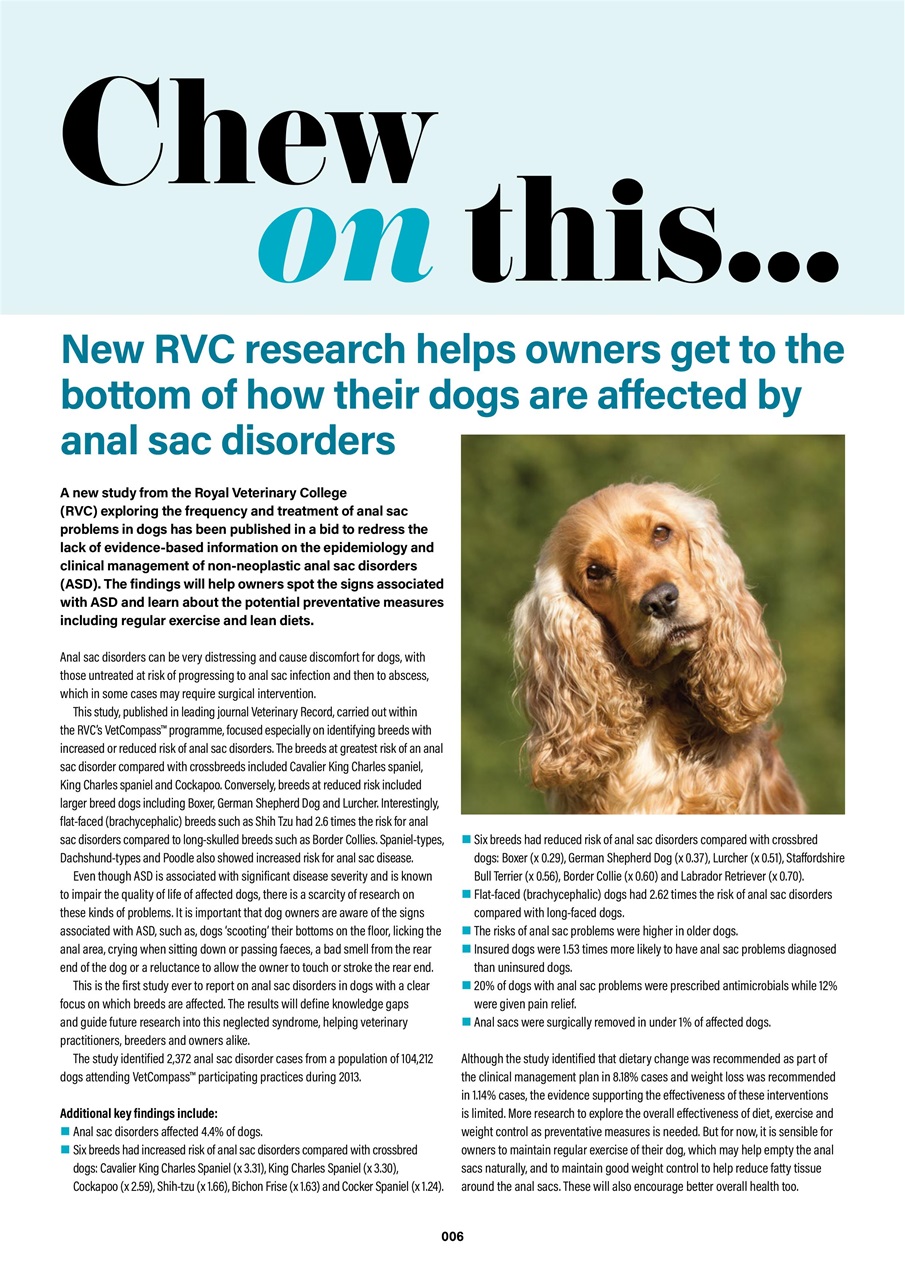 Edition Dog Preview Pages