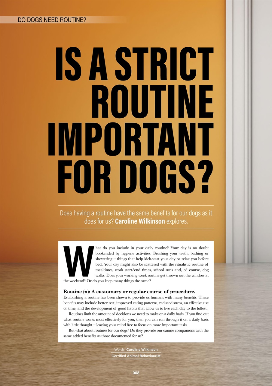 Edition Dog Preview Pages