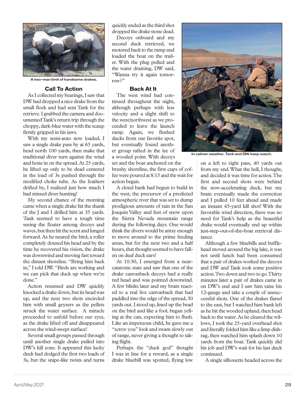 American Waterfowler Preview Pages