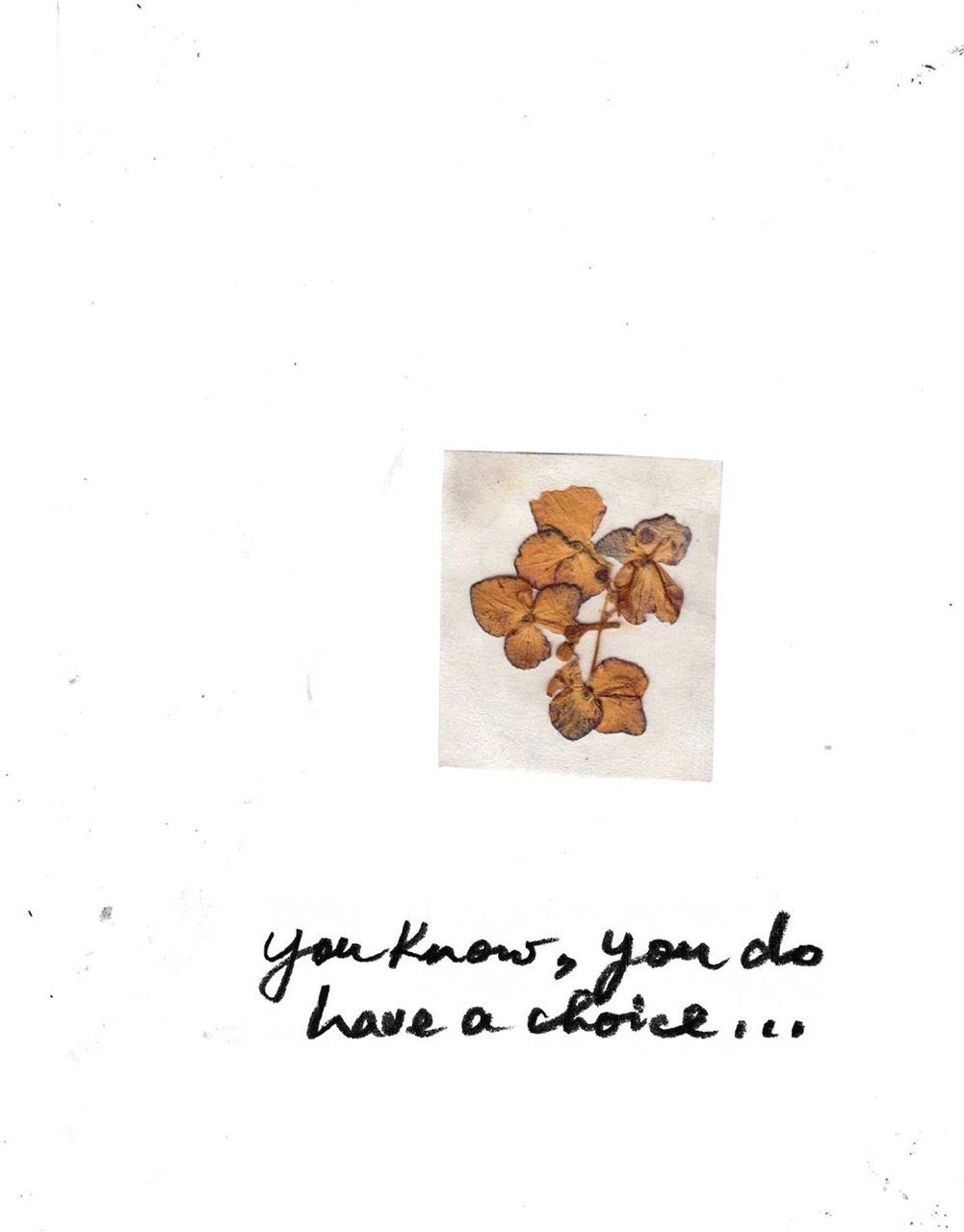 Adbusters Preview Pages