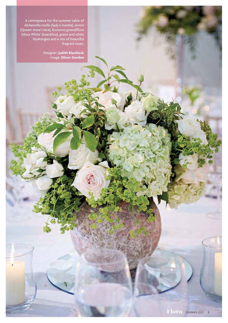 Flora International Preview Pages