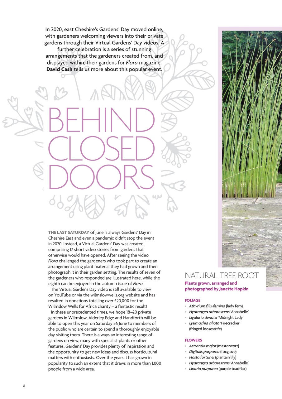 Flora International Preview Pages