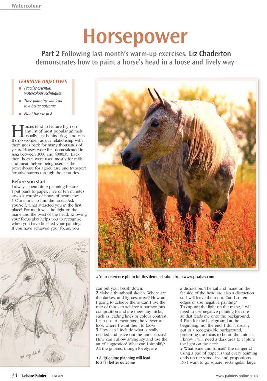 Leisure Painter & The Artist Preview Pages