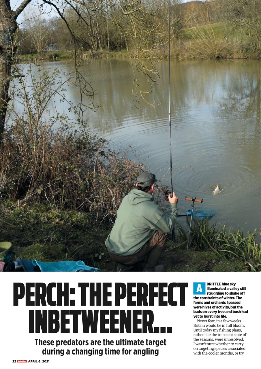 Angling Times Preview Pages