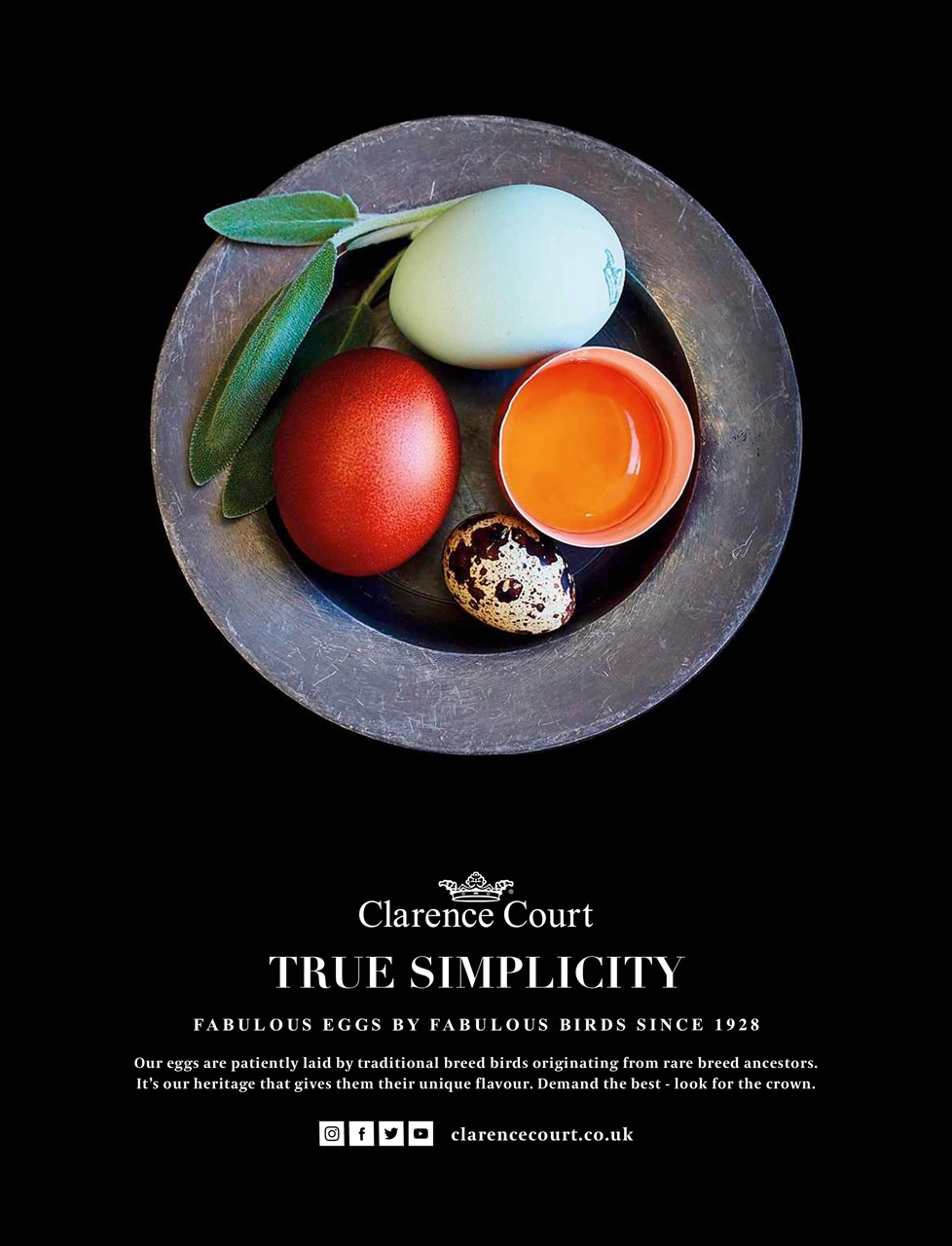 Easy Cook Magazine Preview Pages