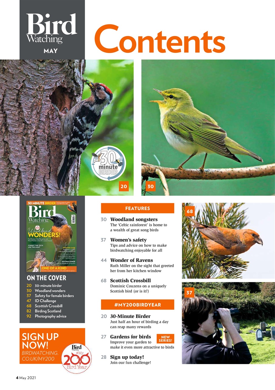 Bird Watching Preview Pages