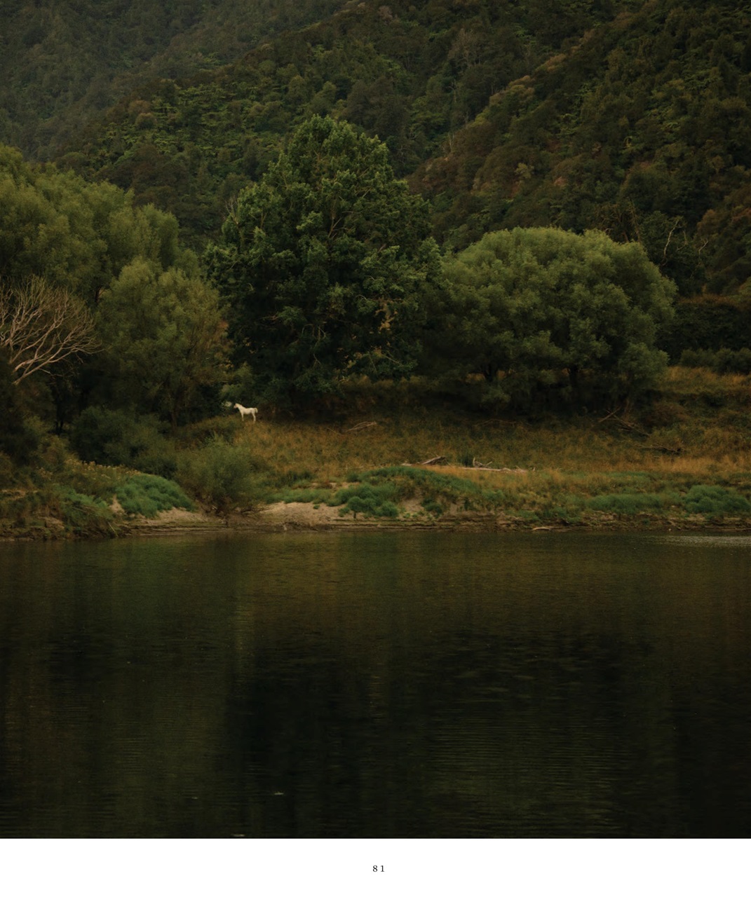 Art Collector Preview Pages