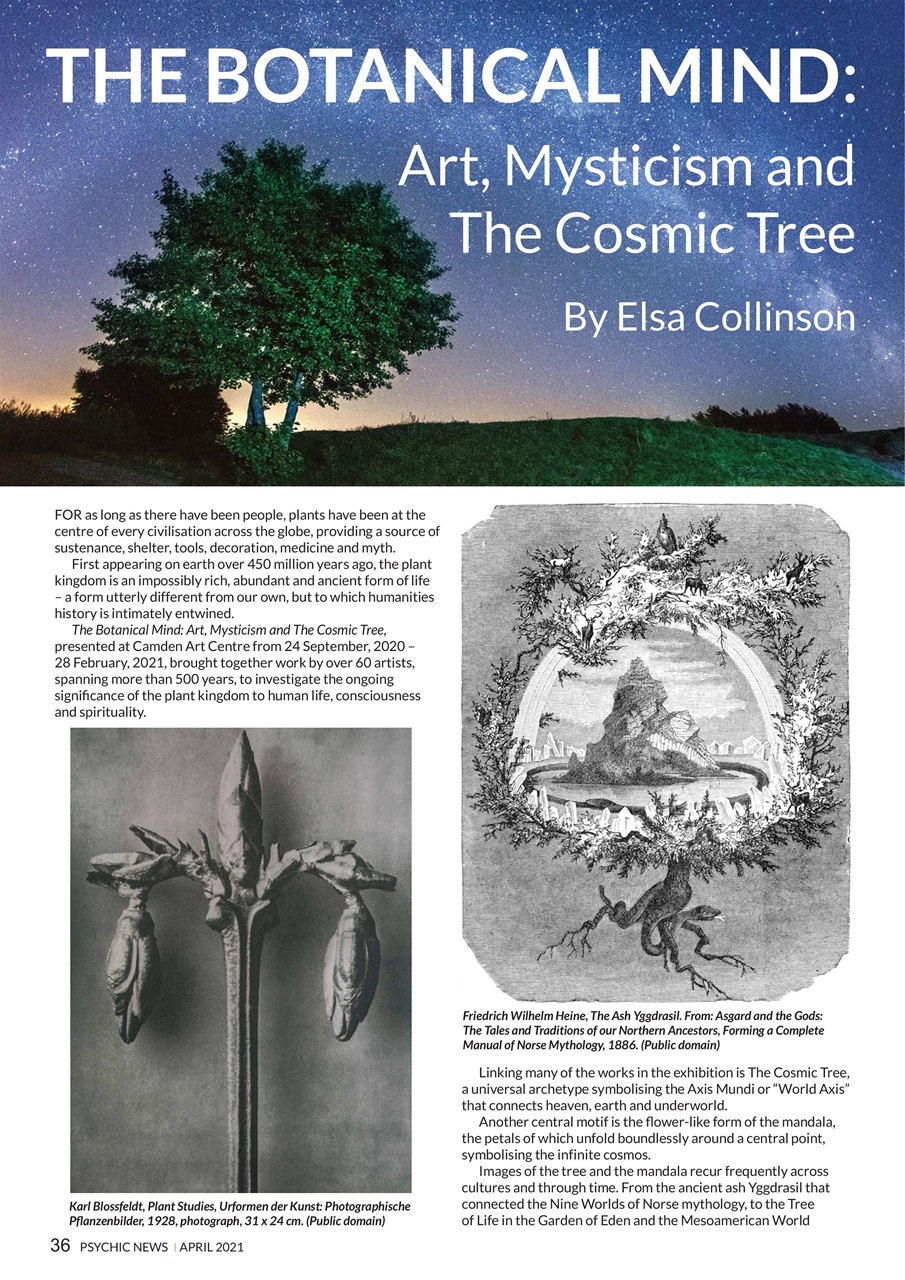 Psychic News Preview Pages