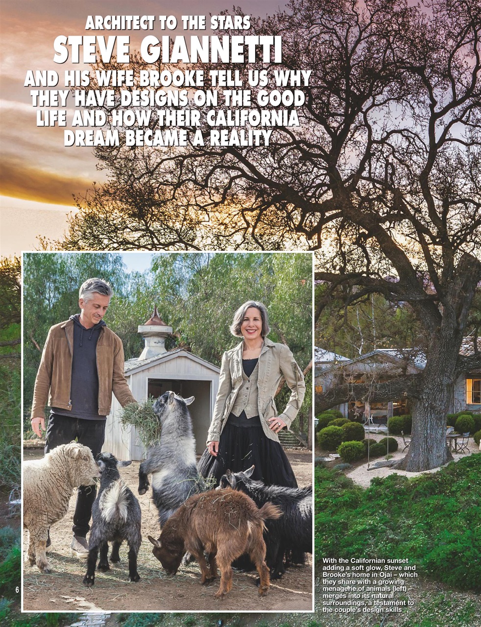 Hello! Magazine Preview Pages