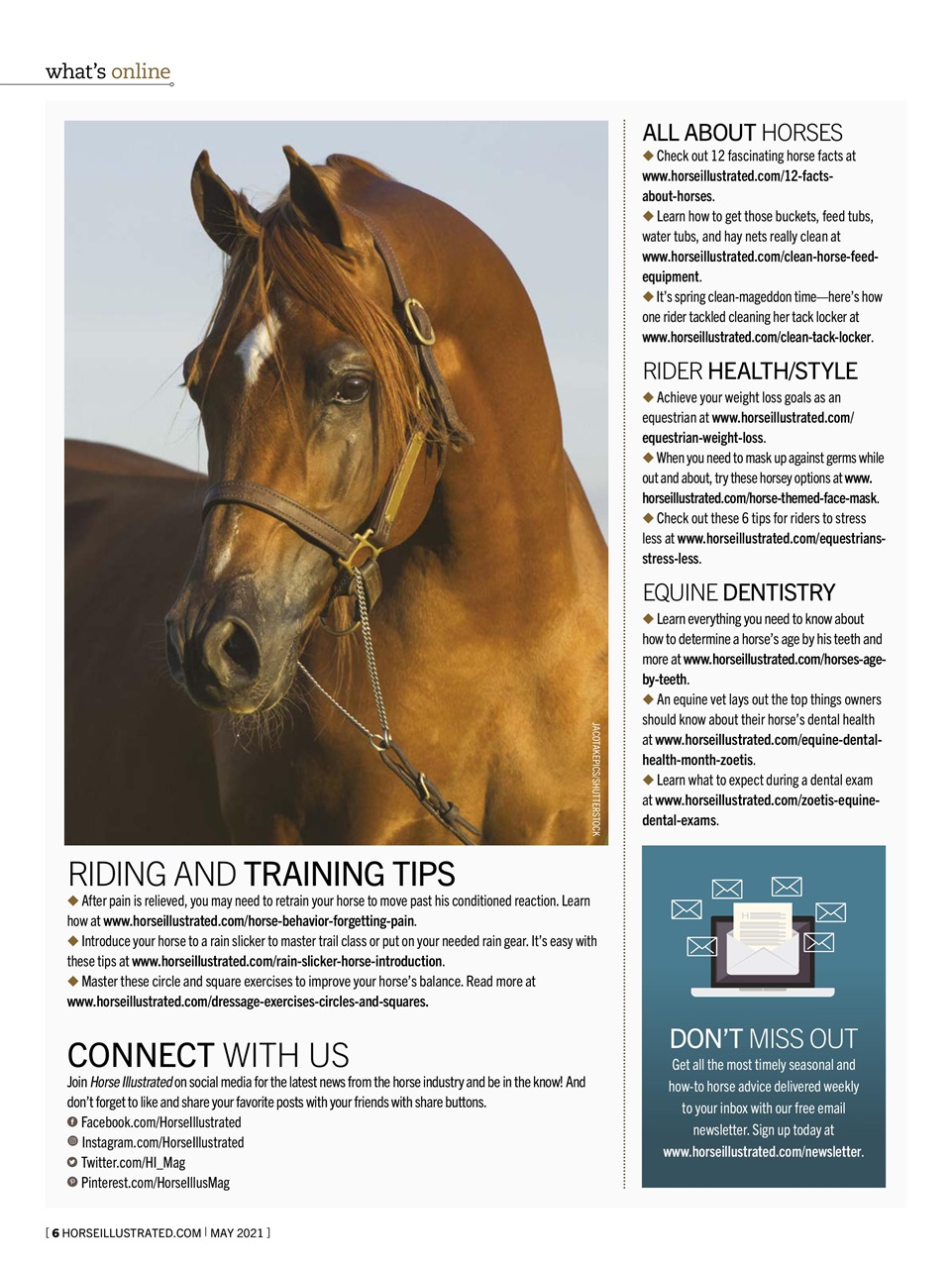Horse Illustrated Magazine Preview Pages