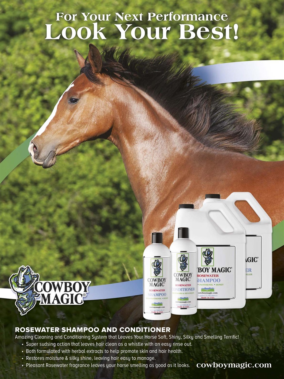 Horse Illustrated Magazine Preview Pages