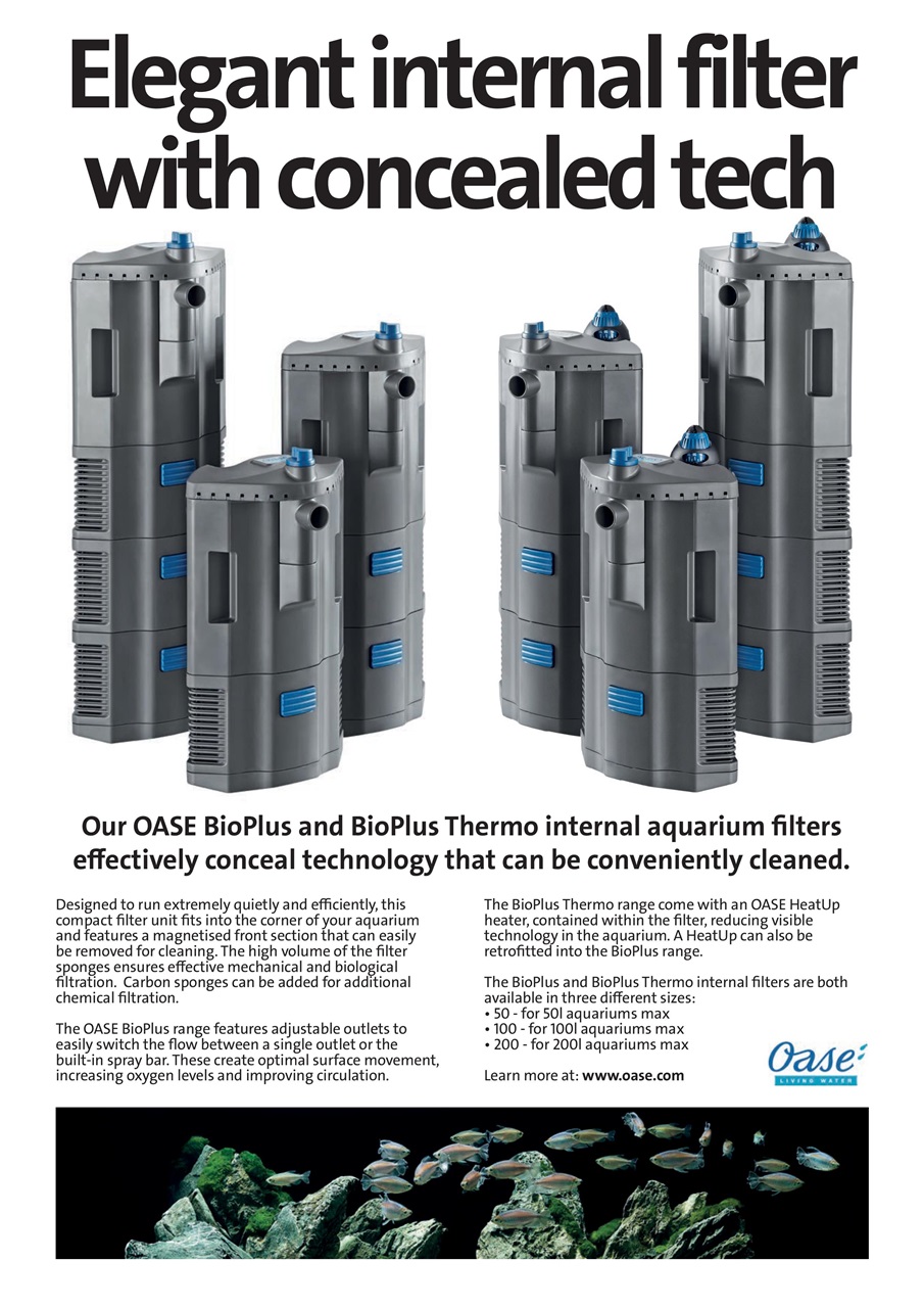 Practical Fishkeeping Preview Pages