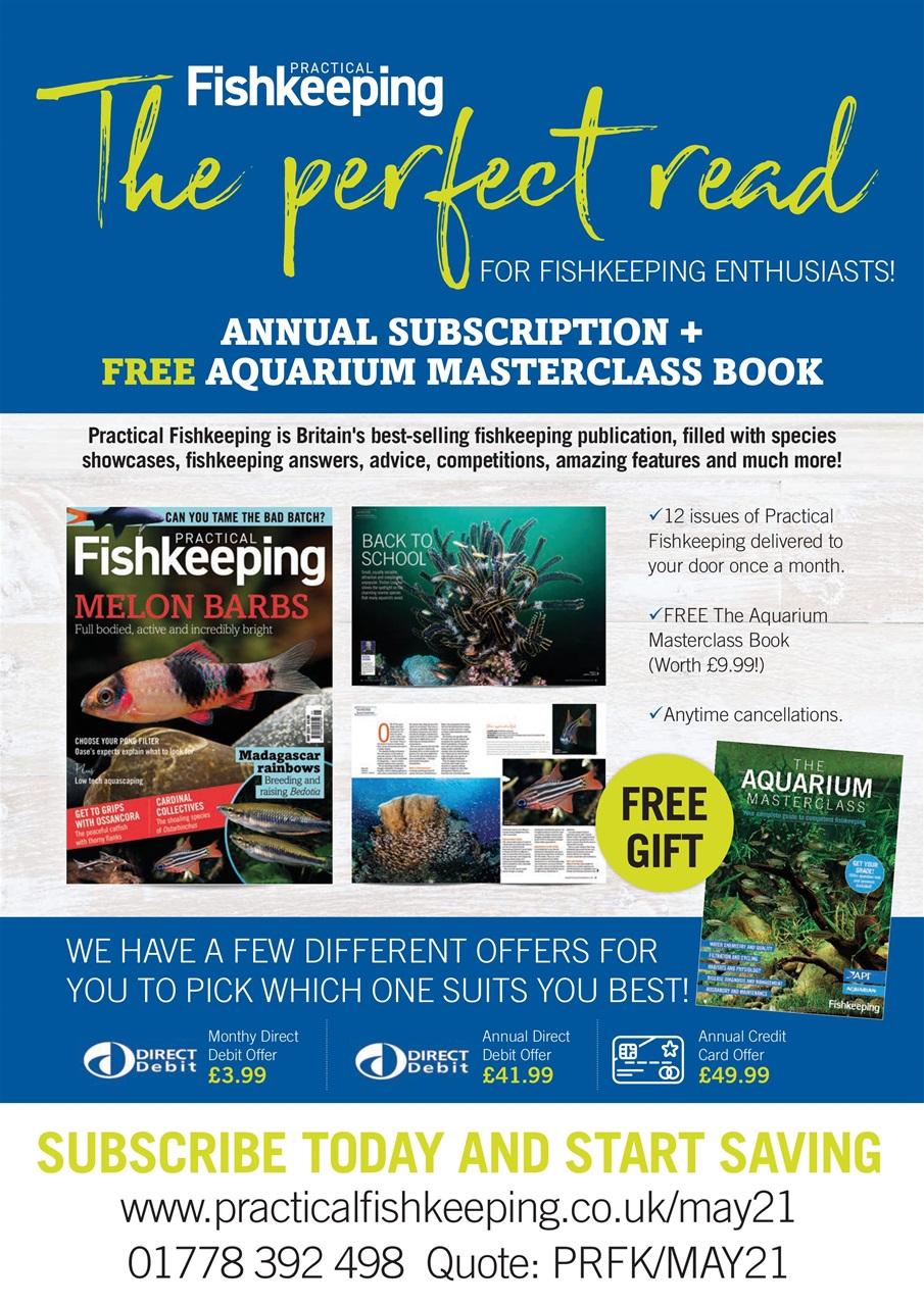 Practical Fishkeeping Preview Pages