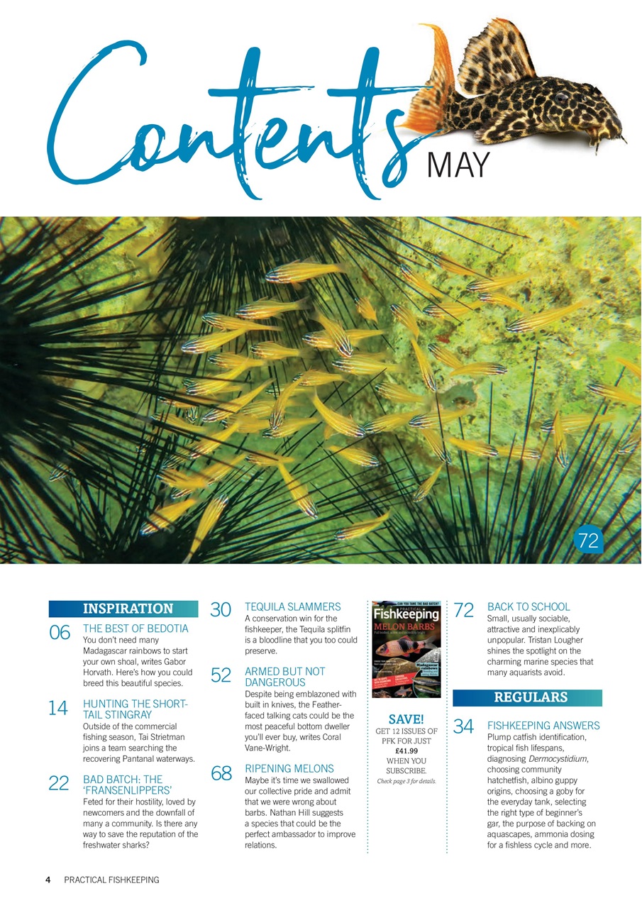 Practical Fishkeeping Preview Pages