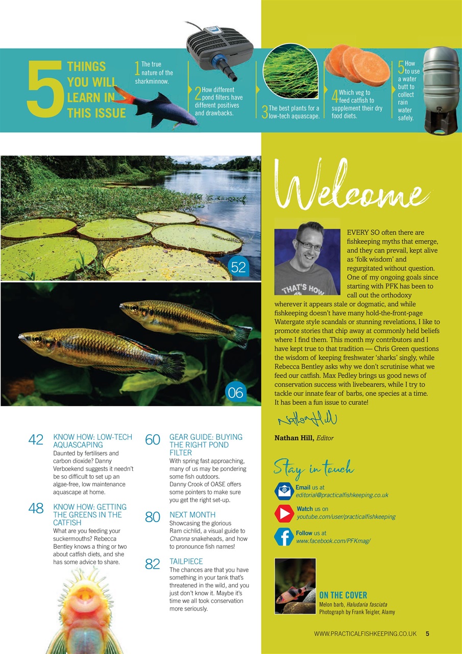 Practical Fishkeeping Preview Pages