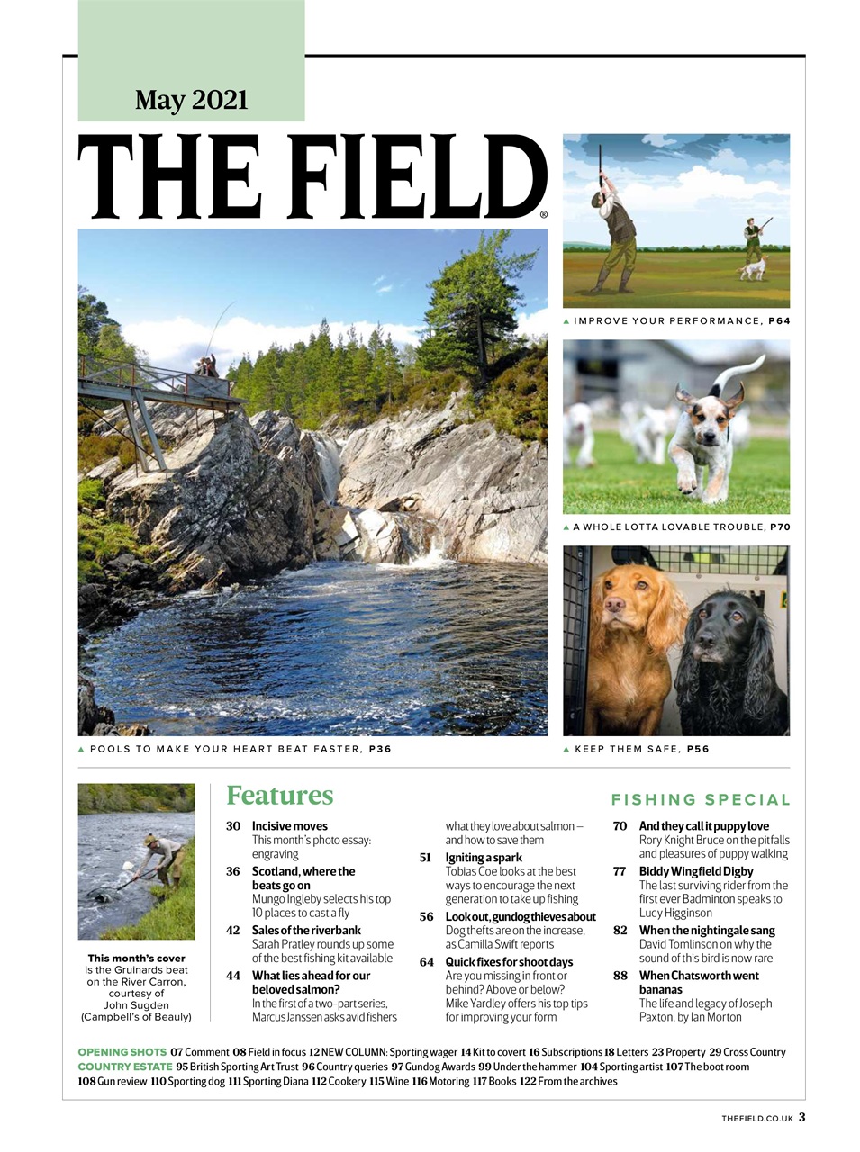 The Field Preview Pages