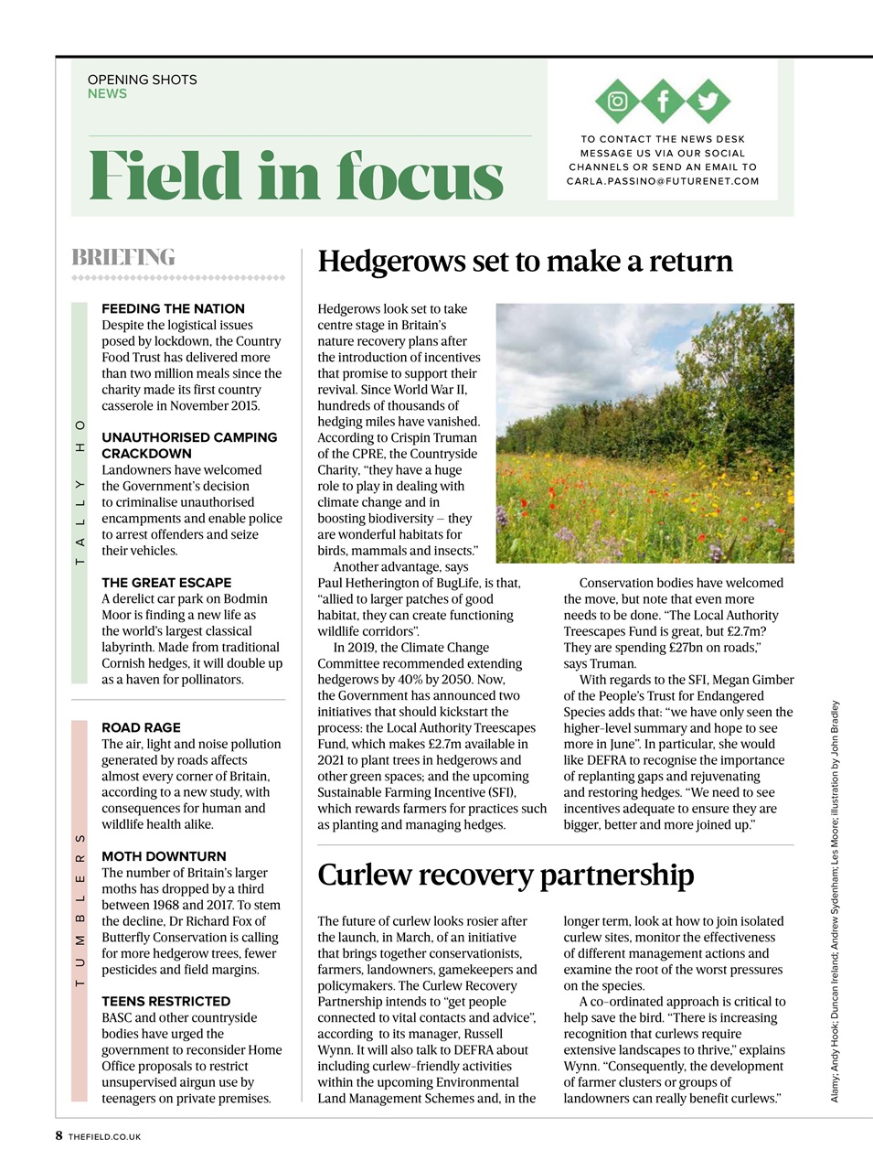 The Field Preview Pages