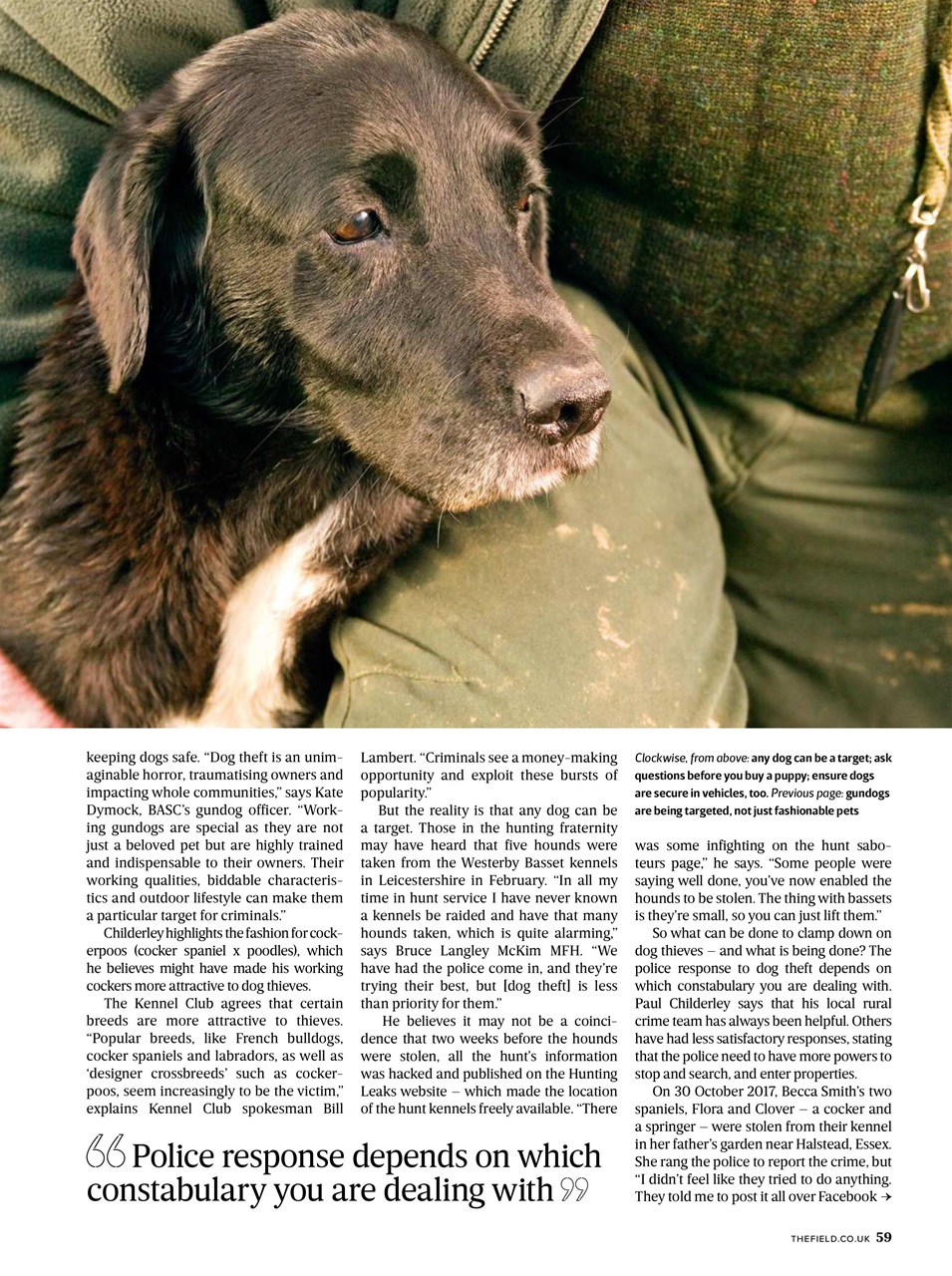 The Field Preview Pages