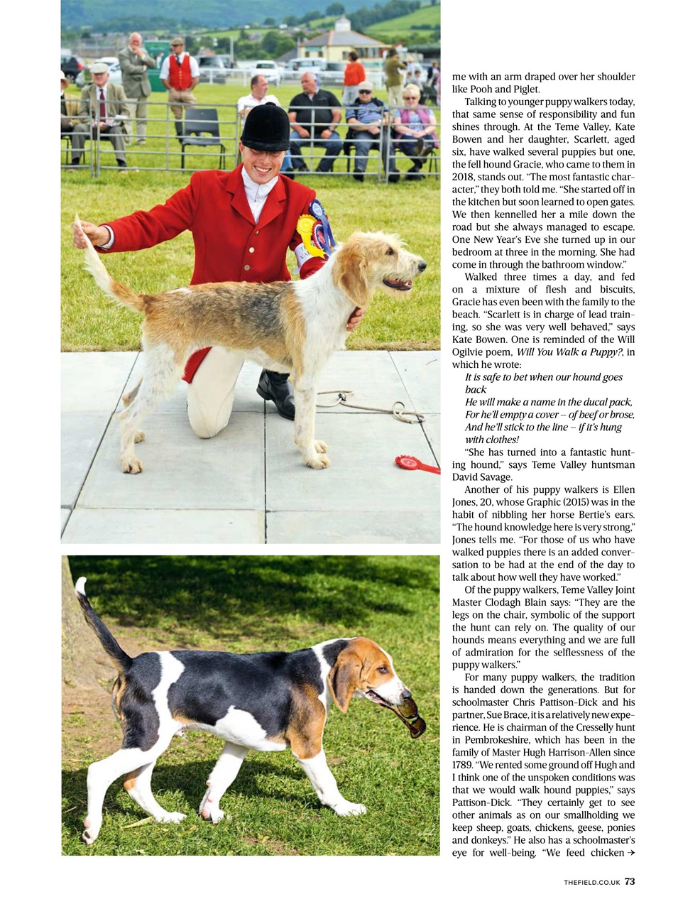 The Field Preview Pages