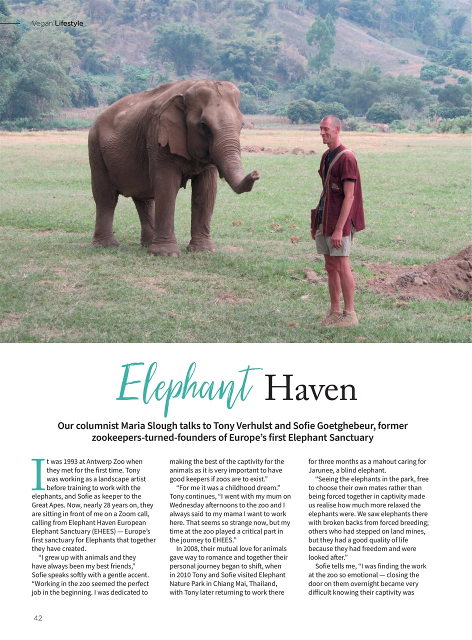 Vegan Life Preview Pages