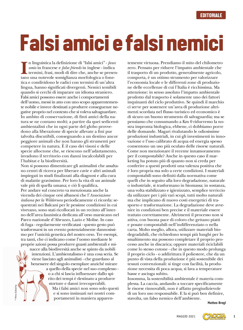 Caccia Magazine Preview Pages