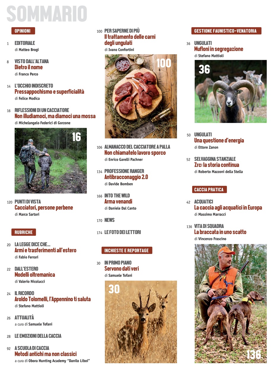 Caccia Magazine Preview Pages