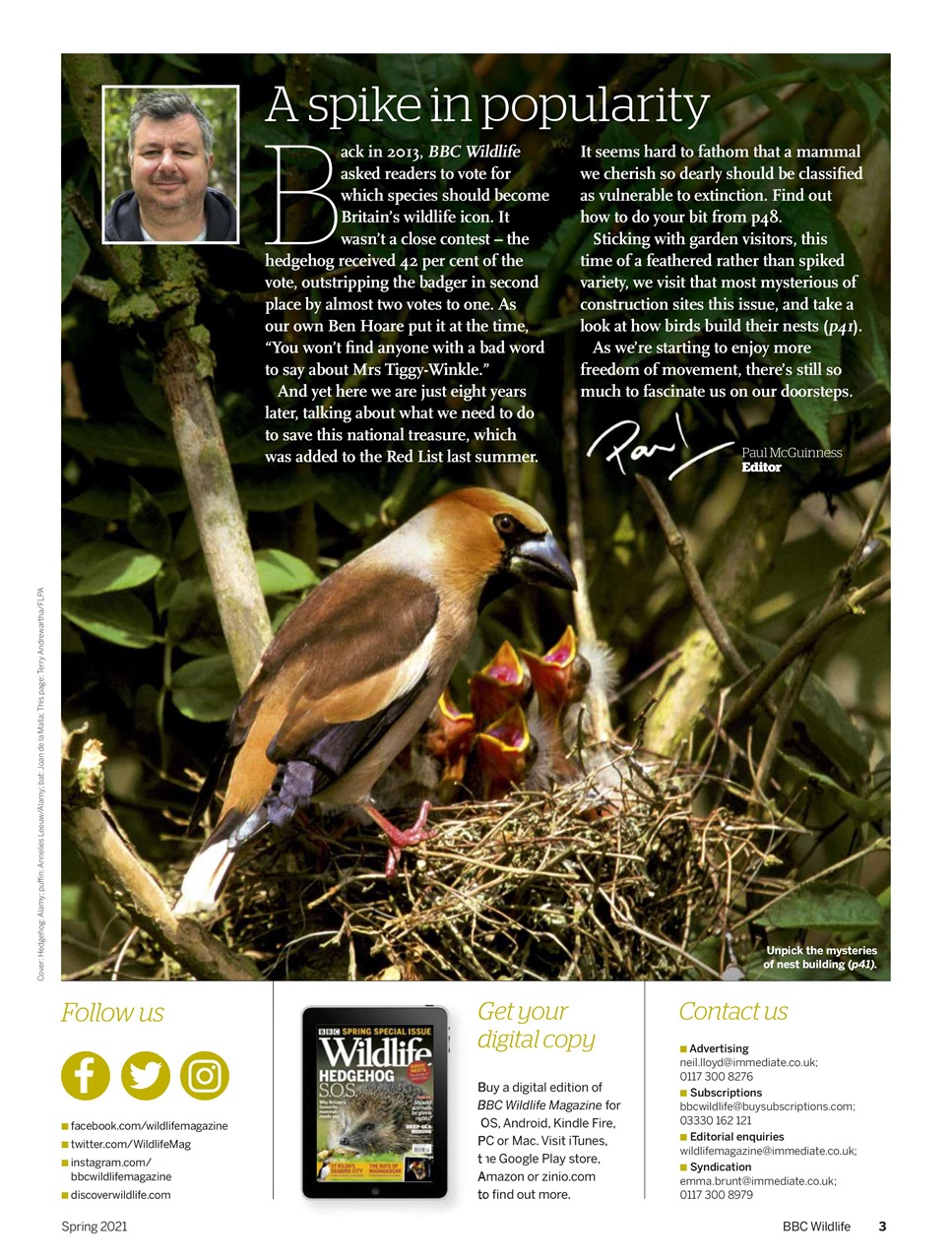 BBC Wildlife Magazine Preview Pages