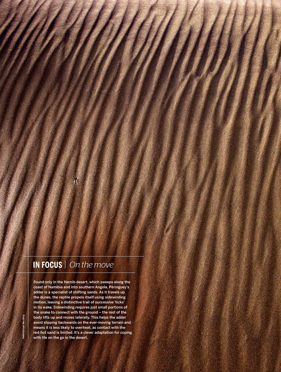 BBC Wildlife Magazine Preview Pages