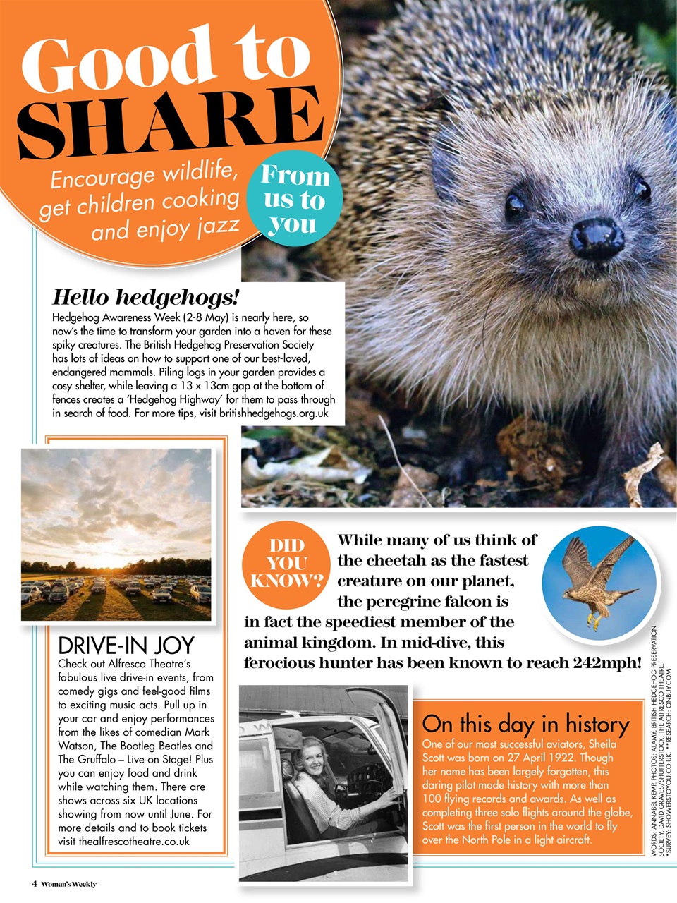 Woman's Weekly Preview Pages