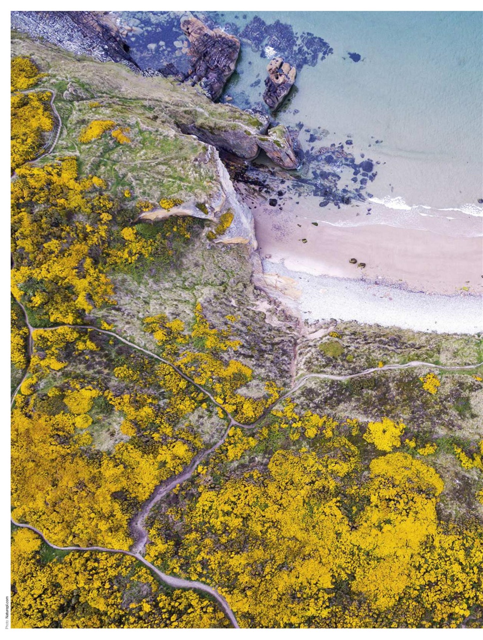 BBC Countryfile Magazine Preview Pages