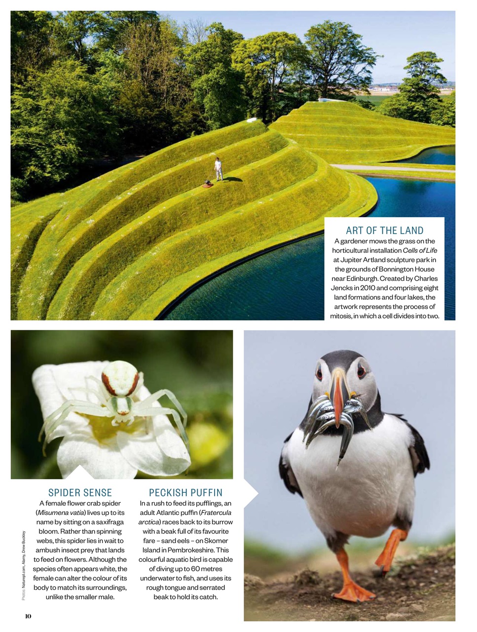 BBC Countryfile Magazine Preview Pages