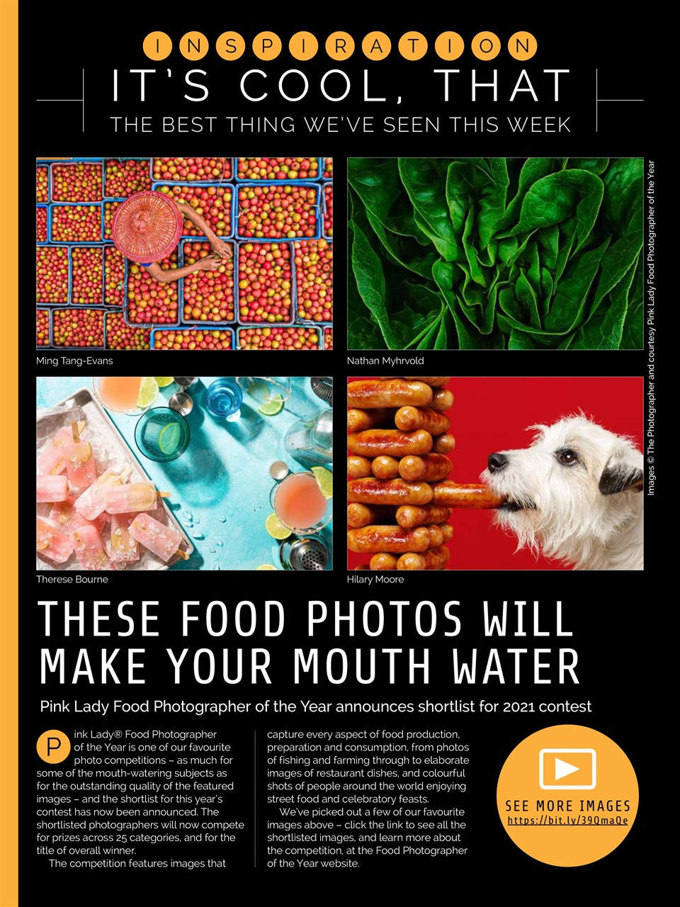 Photography Week Preview Pages