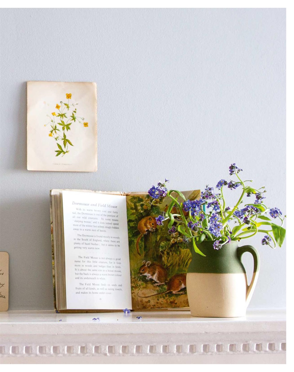 The Simple Things Preview Pages