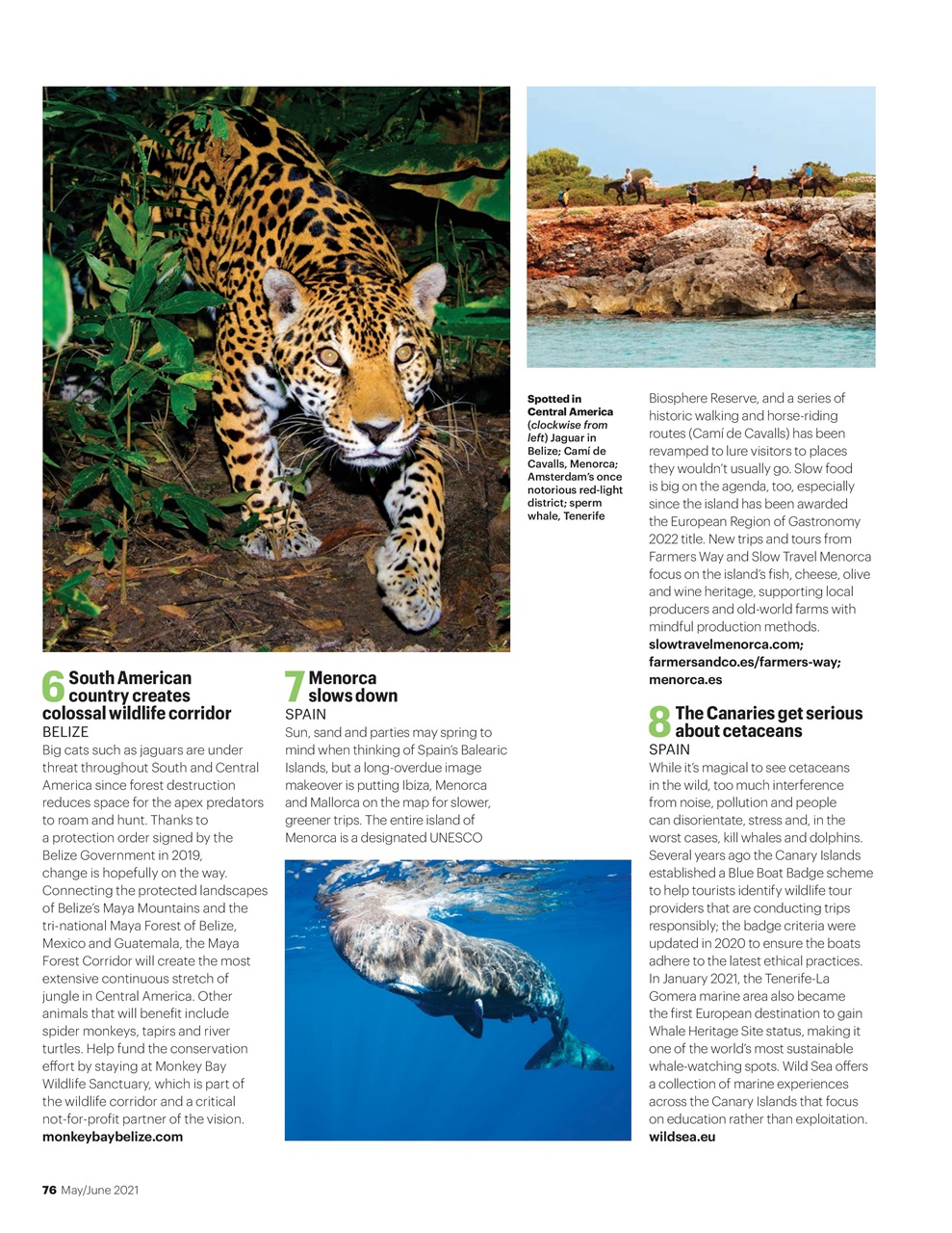 Wanderlust Preview Pages