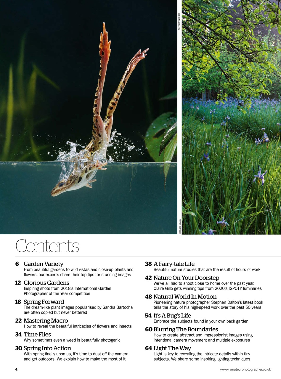 Improve Your Photography Preview Pages