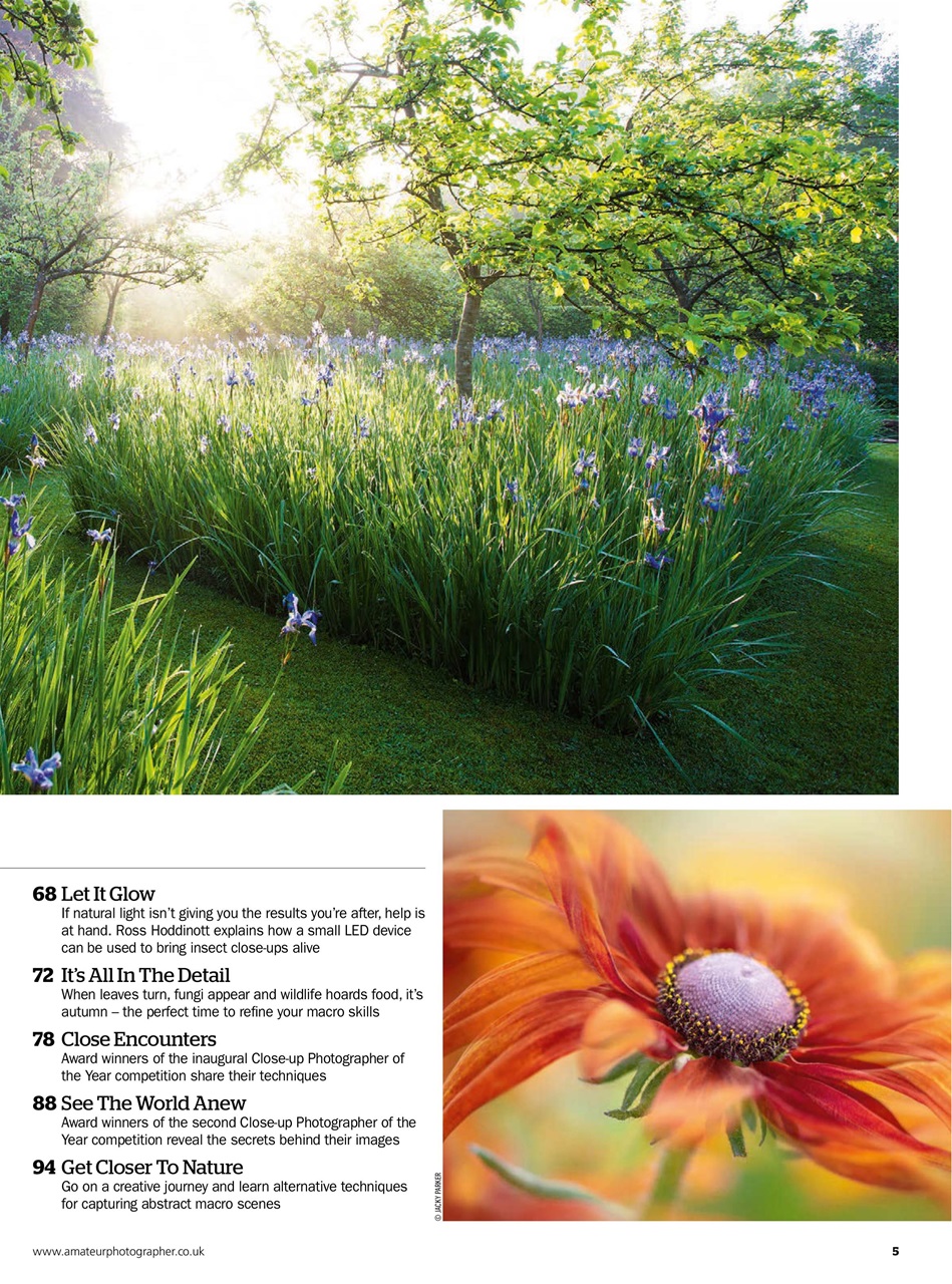 Improve Your Photography Preview Pages