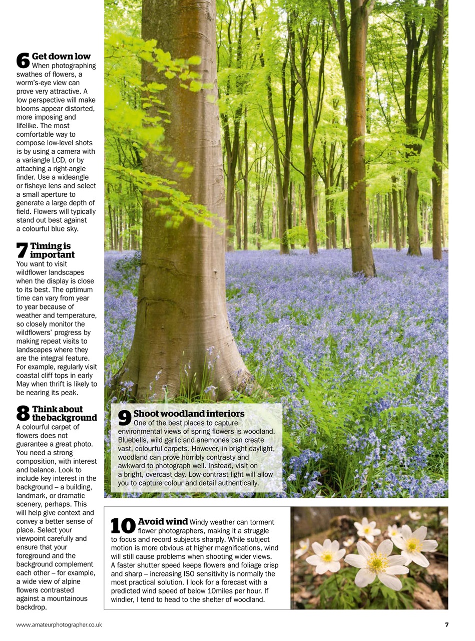 Improve Your Photography Preview Pages