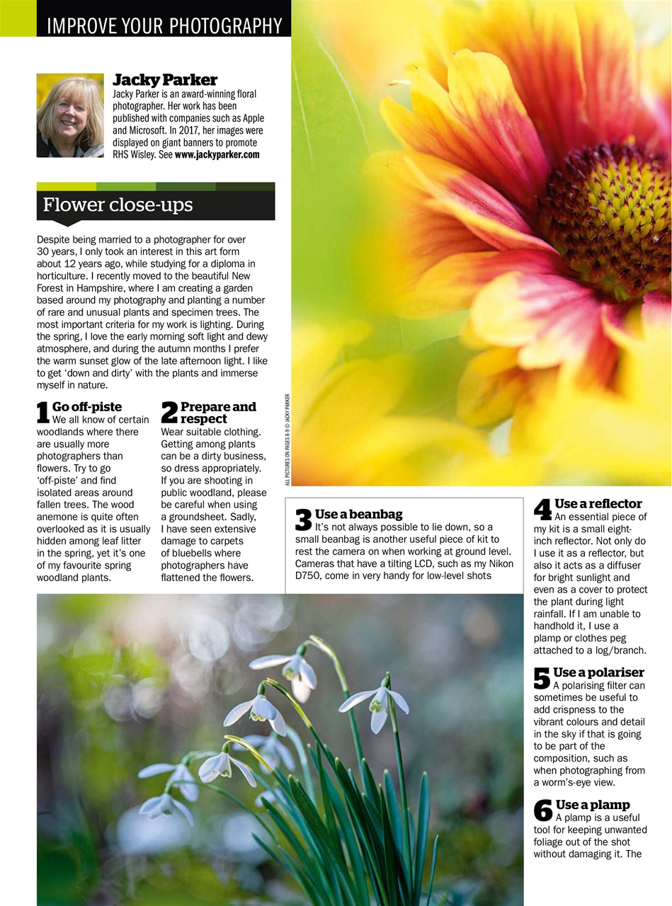 Improve Your Photography Preview Pages