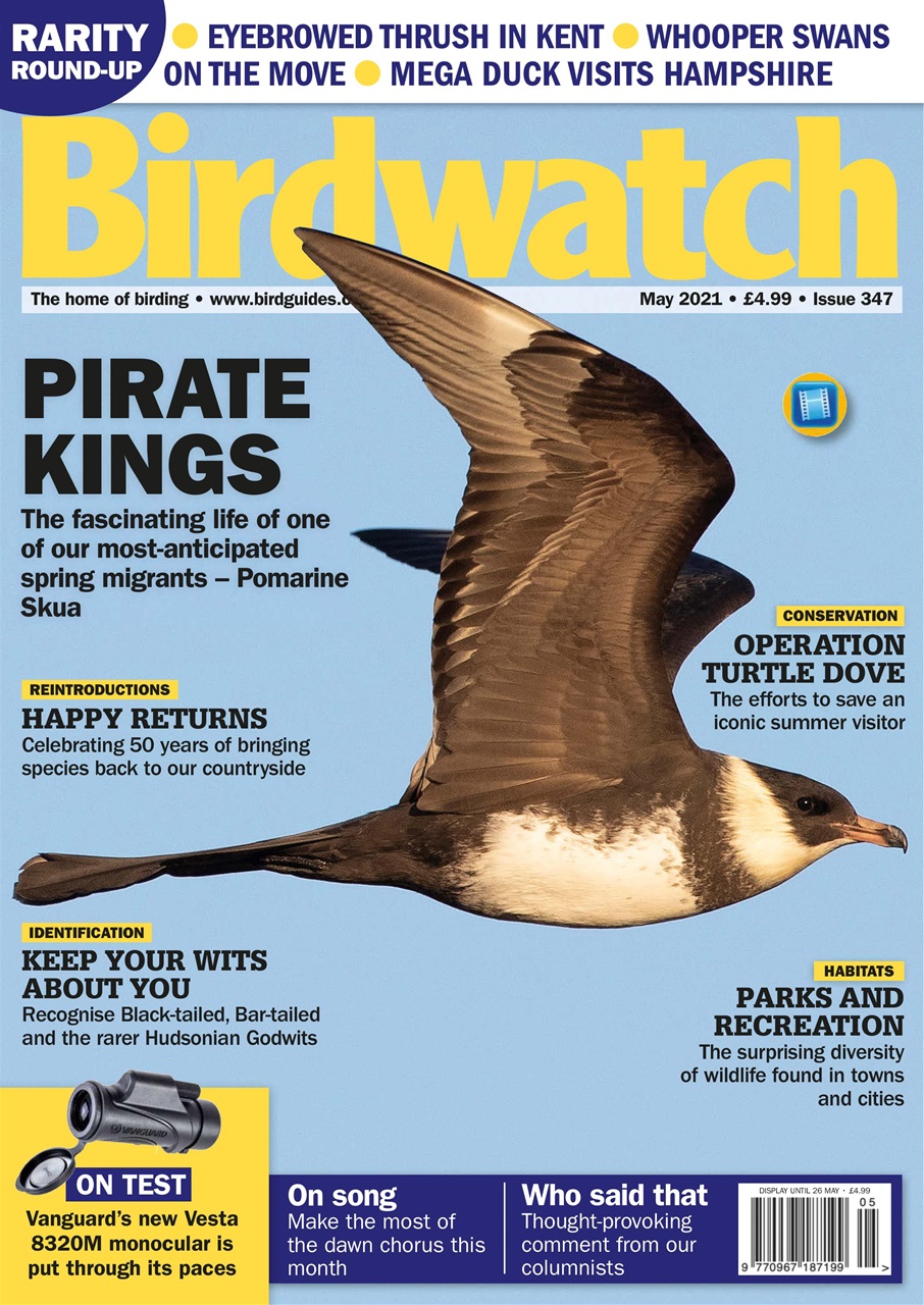 Birdwatch Magazine Preview Pages