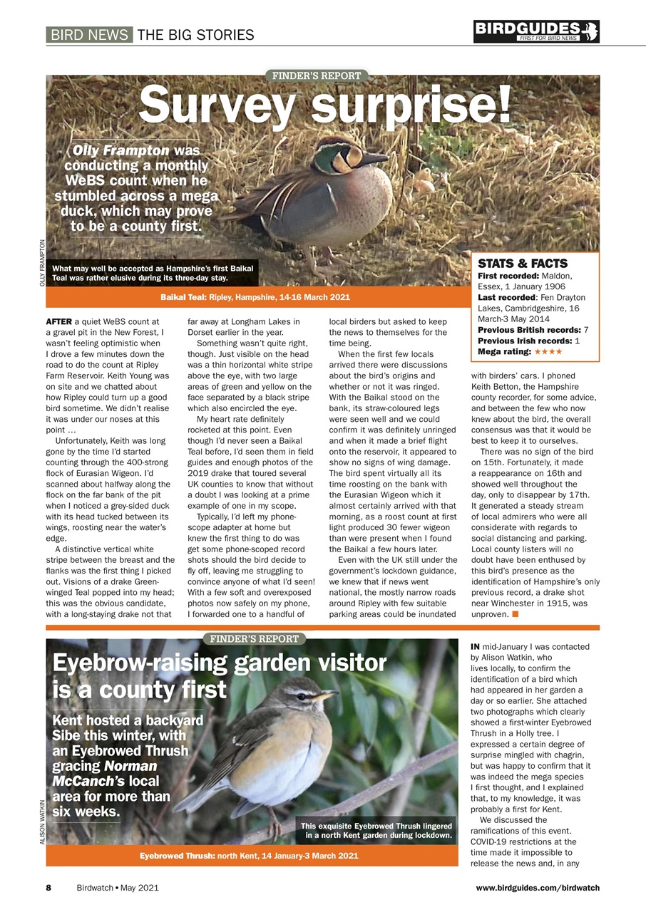 Birdwatch Magazine Preview Pages