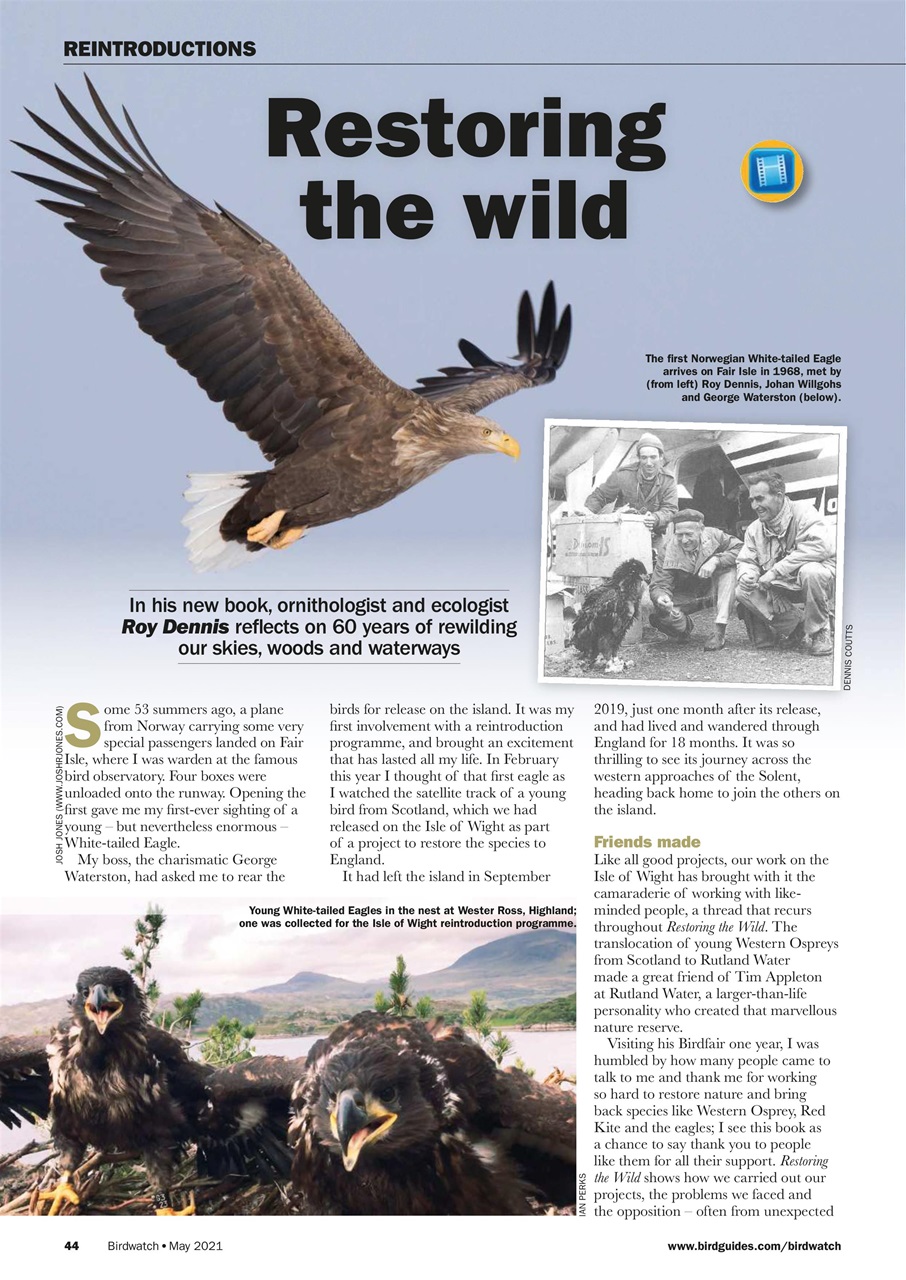 Birdwatch Magazine Preview Pages