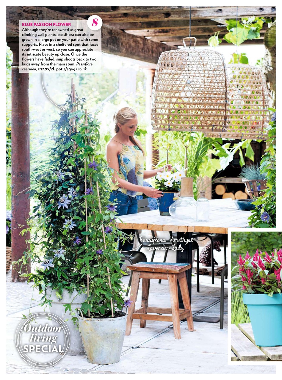 Modern Gardens Preview Pages